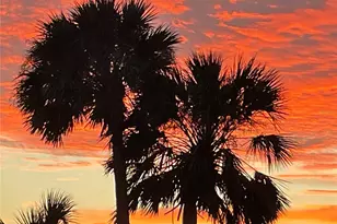 425 Cerromar Terrace, Venice, FL 34293 - Photo 60