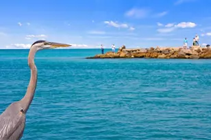 1488 Jupiter Rd, Venice, FL 34293 - Photo 82