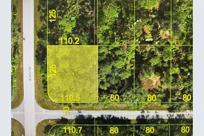 1216 Jacobs Street, Port Charlotte, FL 33953 - Photo 1