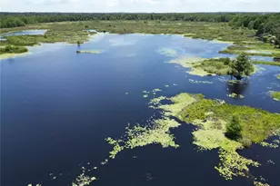 8781 S Lakeshore Dr, Floral City, FL 34436 - Photo 2