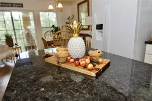 7329 Black Walnut Way, Lakewood Ranch, FL 34202 - Photo 10