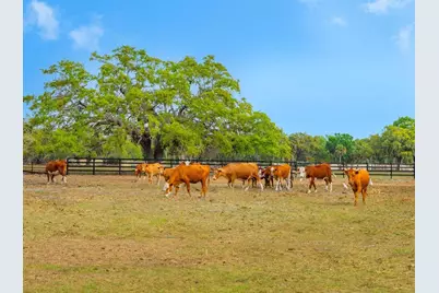 600 N Jackson Road, Venice, FL 34292 - Photo 26
