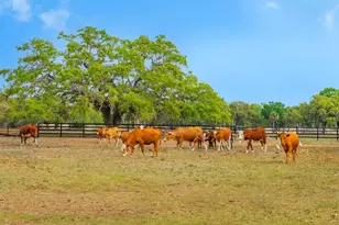 600 N Jackson Rd, Venice, FL 34292 - Photo 26