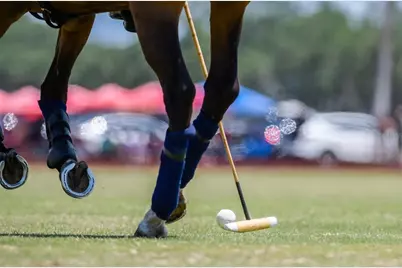 6020 County Road 675, Bradenton, FL 34211 - Photo 46