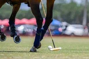 6020 Co Rd 675, Bradenton, FL 34211 - Photo 46