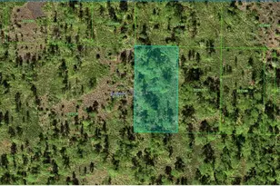 31-32-11-000000-022010 River Ranch Blvd, Lake Wales, FL 33898 - Photo 1