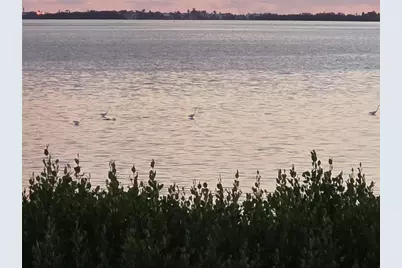 3440 Wild Oak Bay Boulevard #127, Bradenton, FL 34210 - Photo 36