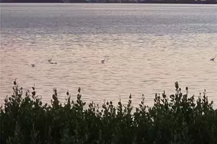 3440 Wild Oak Bay Blvd, Bradenton, FL 34210 - Photo 36