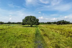 12950 River Rd, Myakka City, FL 34251 - Photo 24