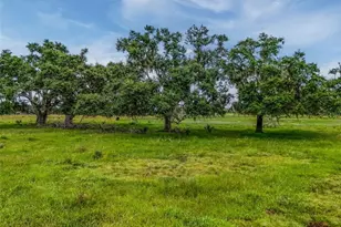 12950 River Rd, Myakka City, FL 34251 - Photo 30