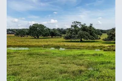 12950 River Road, Myakka City, FL 34251 - Photo 34