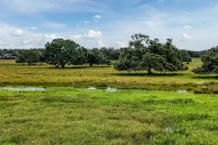 12950 River Rd, Myakka City, FL 34251 - Photo 34