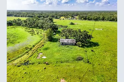 12950 River Road, Myakka City, FL 34251 - Photo 8