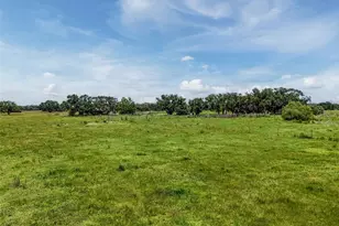 12950 River Rd, Myakka City, FL 34251 - Photo 14