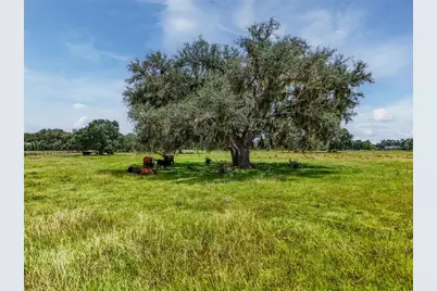 12950 River Road, Myakka City, FL 34251 - Photo 26