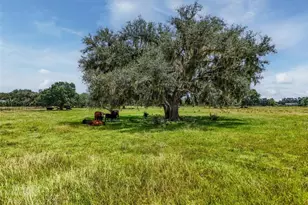 12950 River Rd, Myakka City, FL 34251 - Photo 26