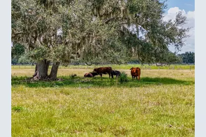 12950 River Road, Myakka City, FL 34251 - Photo 20