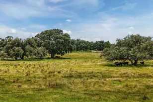 12950 River Rd, Myakka City, FL 34251 - Photo 28