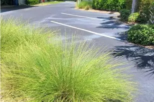 1711 Settlers Dr, Nokomis, FL 34275 - Photo 30