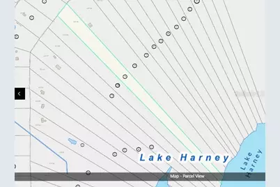 Lot 2 Near Osceola Road, Geneva, FL 32732 - Photo 2