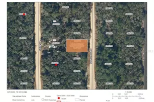 Del Monaco Ave, Interlachen, FL 32148 - Photo 1