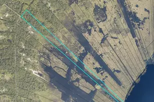 Lot 3 Near E Osceola Rd, Geneva, FL 32732 - Photo 1