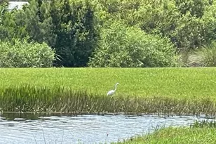 4255 Pond Brk Ct, Bradenton, FL 34211 - Photo 52