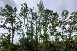 Lot 16 Donatello Ave, North Port, FL 34286 - Photo 2