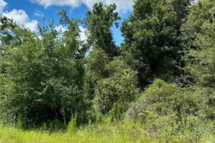 Constitution Dr, North Port, FL 34291 - Photo 1