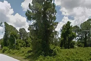 Tbd Knotty Pine Ave, North Port, FL 34288 - Photo 1