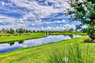 10434 Spring Tide Wy, Parrish, FL 34219 - Photo 30