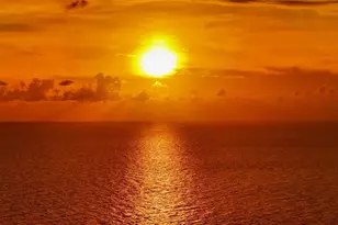 1445 Gulf of Mexico Dr, Longboat Key, FL 34228 - Photo 84