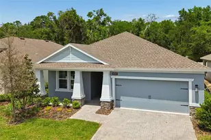 19709 Fort King Run, Brooksville, FL 34601 - Photo 52