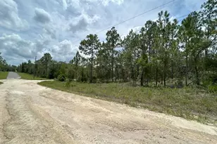 Lot 6 NE 152nd Ct, Williston, FL 32696 - Photo 1