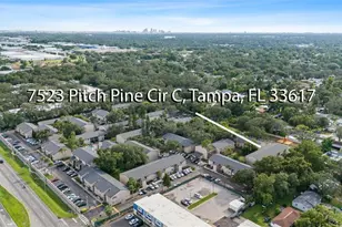 7523 Pitch Pine Cir, Tampa, FL 33617 - Photo 44