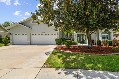 11230 Bloomington Drive, Tampa, FL 33635 - Photo 1