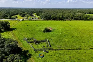 12950 River Rd, Myakka City, FL 34251 - Photo 30