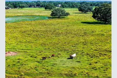 12950 River Road, Myakka City, FL 34251 - Photo 32