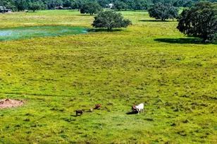 12950 River Rd, Myakka City, FL 34251 - Photo 32