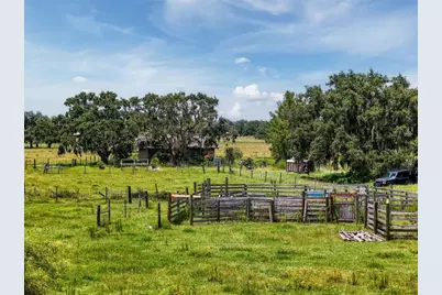 12950 River Road, Myakka City, FL 34251 - Photo 8