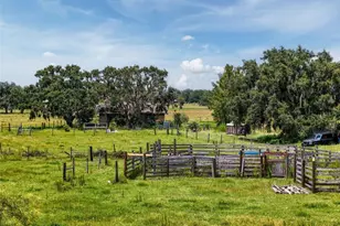 12950 River Rd, Myakka City, FL 34251 - Photo 8