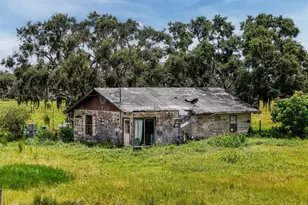 12950 River Rd, Myakka City, FL 34251 - Photo 2