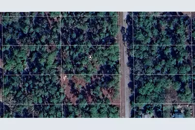 1605 Greenwood Avenue, Lehigh Acres, FL 33972 - Photo 1