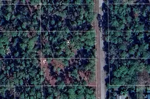 1605 Greenwood Ave, Lehigh Acres, FL 33972 - Photo 1