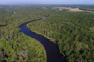 1407 Westover Ave, Parrish, FL 34219 - Photo 50