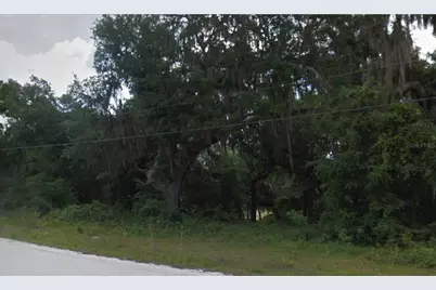 Se 178th Ave, Silver Springs, FL 34488 - Photo 1