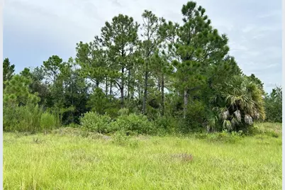 Blackwood Circle, North Port, FL 34288 - Photo 1