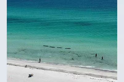 2425 Gulf Of Mexico Drive #11F, Longboat Key, FL 34228 - Photo 34