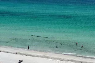 2425 Gulf Of Mexico Dr, Longboat Key, FL 34228 - Photo 34