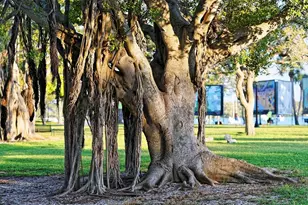 213 Cosmopolitan Ct, Sarasota, FL 34236 - Photo 56